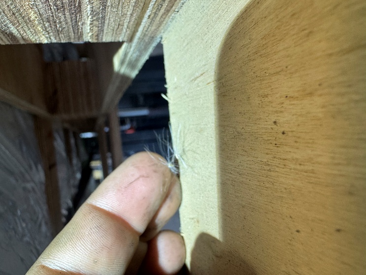Seed material found during inspection