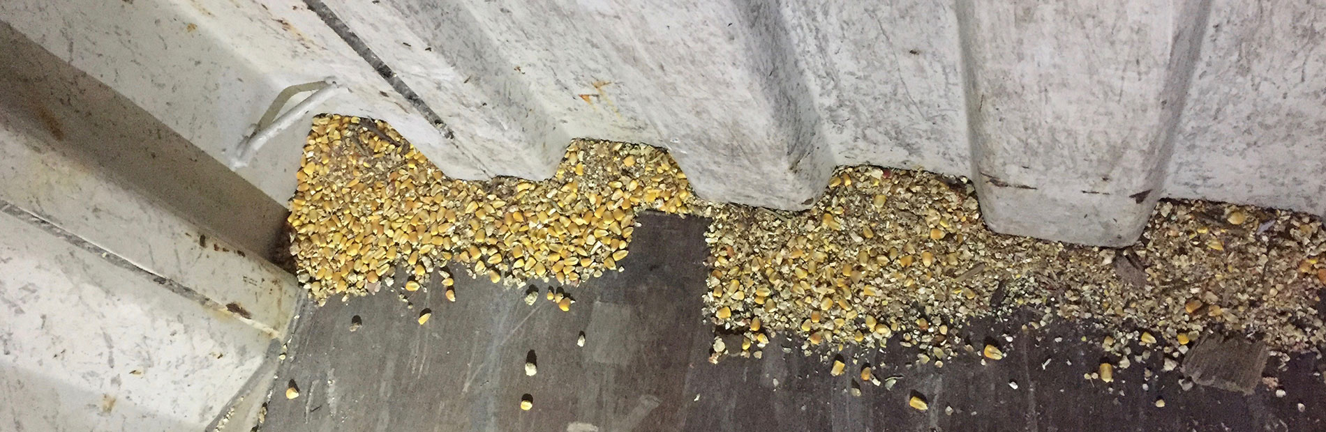 Seed removal service